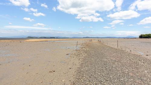 a dirt road in the middle of a desert at Taean loghouse pension in Taean