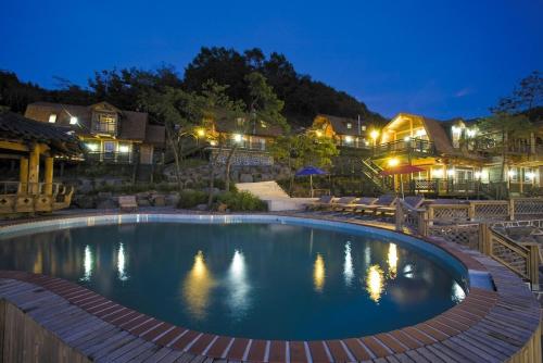 a large swimming pool in a yard at night at Boryeong Rich Valley Log Village Pension in Boryeong