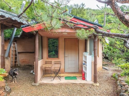 a dog standing in front of a small house at Gwangyang Sukhee's Hwangto Pension in Gwangyang
