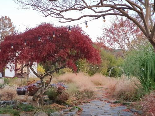 a garden with a tree with red leaves on it at Naju Gotaeg Flowers are blooming on the mountain in Naju