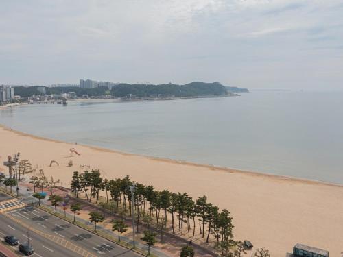 an aerial view of a beach with palm trees at Pohang Pool Villa Yeongil in Pohang