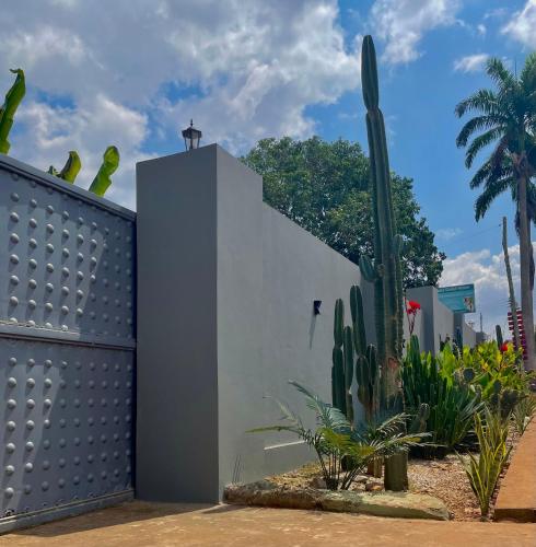 Jardín al aire libre en Bruks Guest House