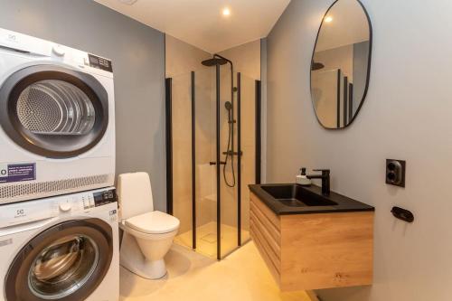 a bathroom with a washing machine and a sink at 2 bedroom appartment - walking distance to the Technology Park, City Center & Uni - Fully furnished in Kongsberg