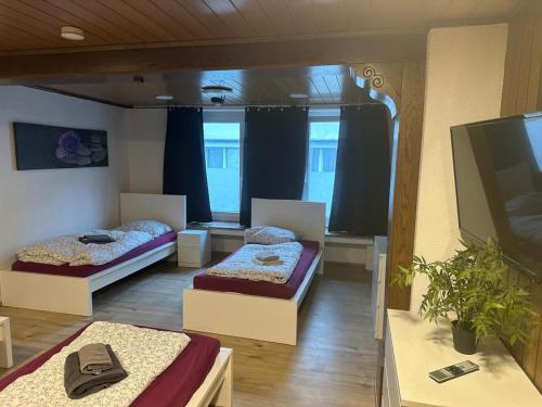 a room with two beds and a flat screen tv at Work&Stay Apartments Hellenthal in Hellenthal