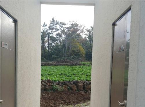 a view of a field from inside a building at Jeju Bijarim Very Mung Pension in Jeju