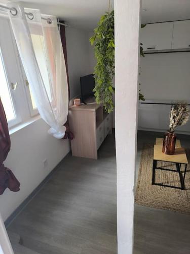Cette chambre dispose d'une fenêtre et d'une table avec une plante. dans l'établissement Studio moderne situé à 300m du cœur de Troyes, à Troyes