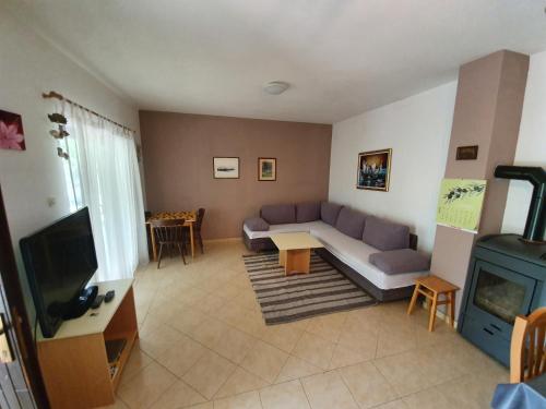a living room with a couch and a tv at Beachfront House Nella with full privacy in Jasenice