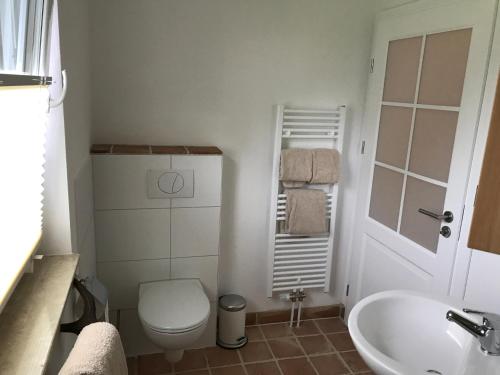 a small bathroom with a toilet and a sink at Pension Försterhof in Angermünde