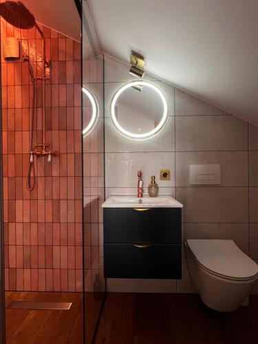 Un baño con lavabo, inodoro y espejo. en Gajówka Pilica 45A, en Łęg Ręczyński