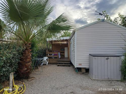 a small shed with a palm tree next to a palm tree at vacances familiales dans camping avec piscine in Fréjus