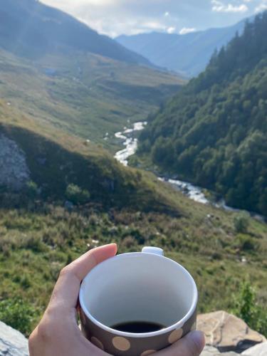 a hand holding a cup of coffee overlooking a valley at Gunter Guest house in Adishi