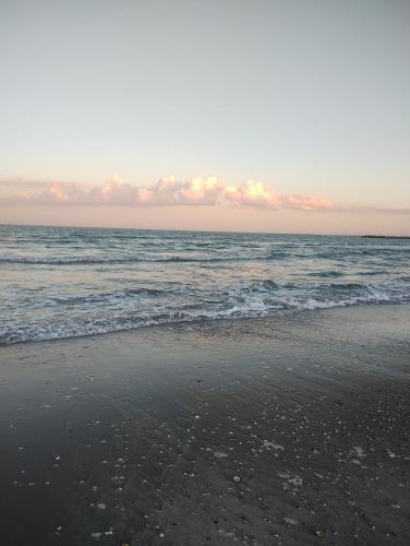 a sandy beach with the ocean in the background at La casa di Alice in Venice