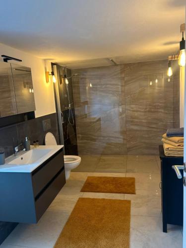 a bathroom with a shower and a sink and a toilet at Ferienwohnungen Ahrweiler in Bad Neuenahr-Ahrweiler
