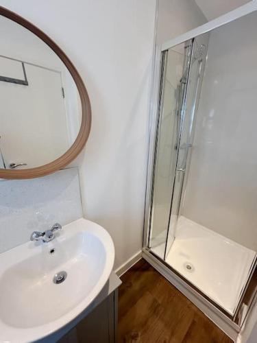 a bathroom with a sink and a shower at Wellington Road Apartment 5 in Southtown