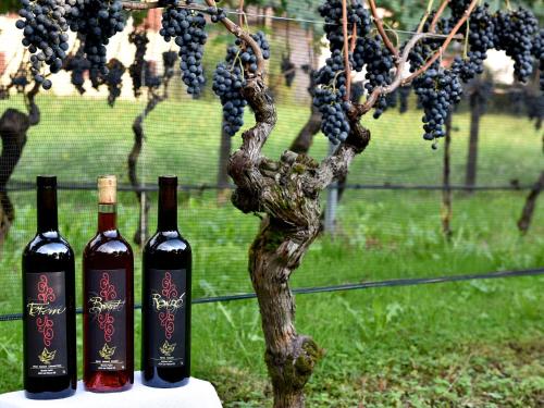 three bottles of wine on a table next to a bunch of grapes at Bed and Breakfast da Käthy Agriturismo in Grono