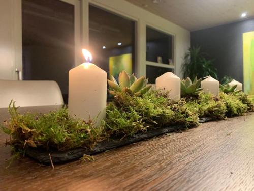 a group of candles and plants on a table at Rækkehus tæt på skov, sø og by in Viborg