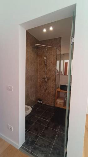 a bathroom with a shower and a toilet at Aurorae Residence in Recaş