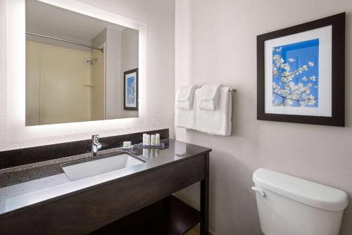 a bathroom with a sink and a toilet and a mirror at La Quinta Inn & Suites by Wyndham Mooresville in Mooresville