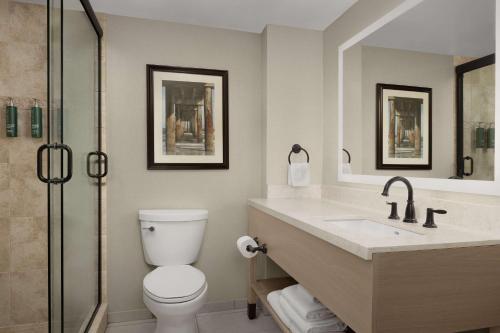 a bathroom with a toilet and a sink and a shower at DoubleTree by Hilton St. Augustine Historic District in Saint Augustine