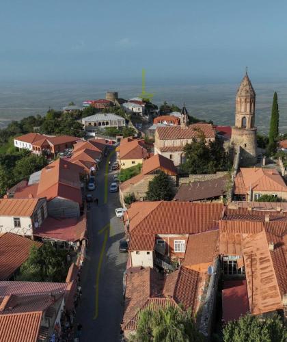 an aerial view of a town with red roofs at Guest House Maria in Sighnaghi