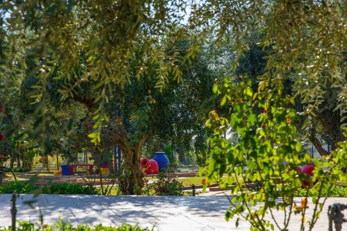 a tree in a park with people sitting on a bench at Filoxenia Apartments & Studios in Theologos