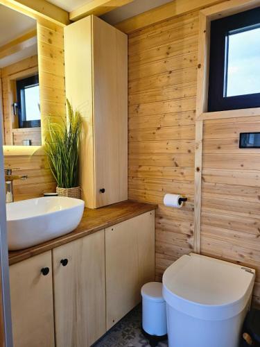 a bathroom with a white toilet and a sink at Behagliches OFFGRID Tiny House - Escape to Nature in Sankt Pölten
