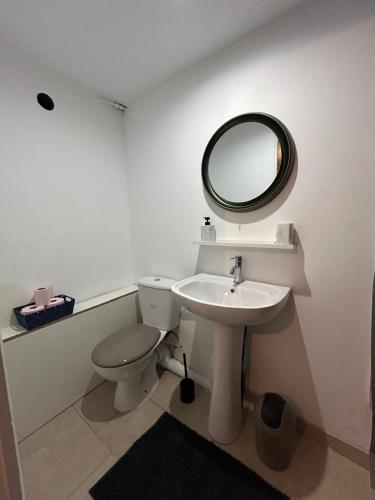 une salle de bain avec un lavabo et un miroir et des toilettes dans l'établissement Paris chez jade, à Thiais
