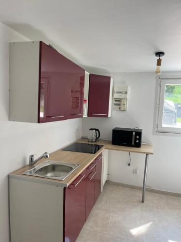une petite cuisine avec un évier et un micro-ondes dans l'établissement Paris chez jade, à Thiais