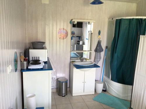 une petite salle de bain avec un lavabo et une douche dans l'établissement Ma petite studette Tahaa, à Taussat-les-Bains