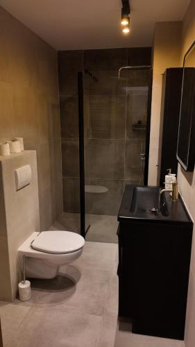 ein Badezimmer mit Dusche, Toilette und Waschbecken in der Unterkunft Maestro ONE in Tychy