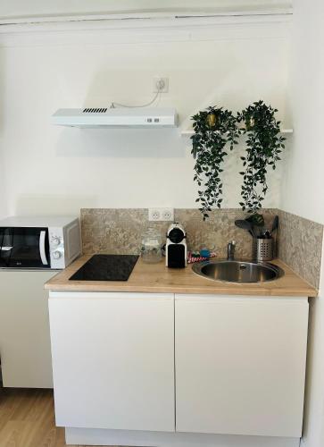 Dapur atau dapur kecil di Hotel Les Orangers