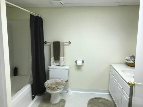 a white bathroom with a toilet and a shower at Three Springs Plus in Lovingston