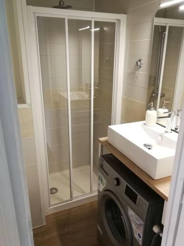 une salle de bain avec douche et machine à laver dans l'établissement Joli studio au centre ville, à Aix-les-Bains