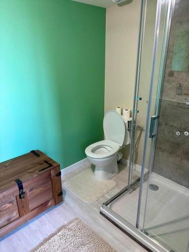 a bathroom with a toilet and a glass shower at Gîtes Rozanna avec accès détente SPA JACUZZI in Saint-Jean-de-la-Rivière