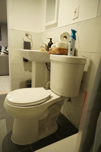a bathroom with a white toilet and a sink at Cozy 2 Bedroom In A Lovely Forest Hills Neighborhood in Parkside
