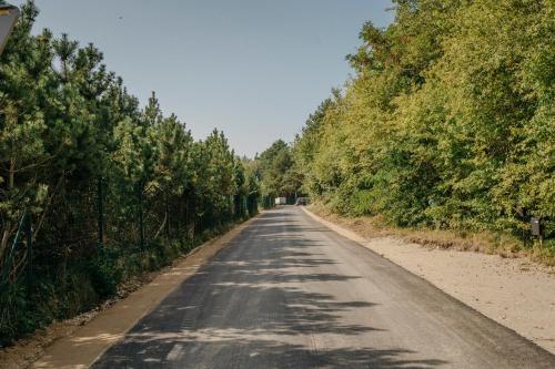 an empty road with trees on both sides at ANDO Villa with wood stove sauna in Selgas