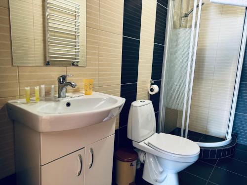 a bathroom with a sink and a toilet and a shower at Etna Hotel in Lviv
