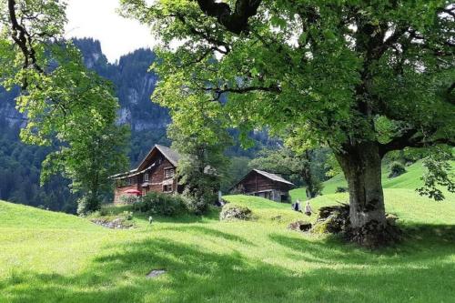 a tree in the middle of a field with a house at Absolut ruhige Aussichtslage in uraltem Holzhaus in Braunwald
