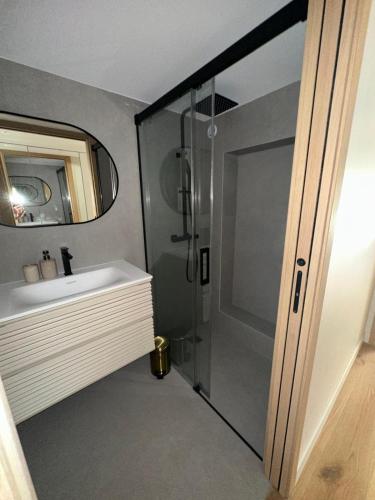 une salle de bain avec une douche, un lavabo et un miroir dans l'établissement Nice Living Cannes Plage, à Cannes