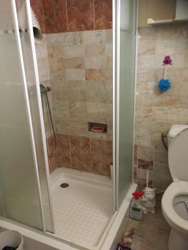 une cabine de douche dans une salle de bain avec toilettes dans l'établissement Chez Petra, à Vernet-les-Bains