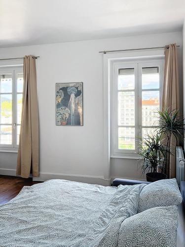 Spacieux T3 80m2 plein centre presque ile ! photo 8