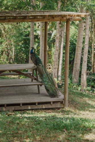 Fotografie z fotogalerie ubytování Glamping Entre Rios v destinaci Calarcá