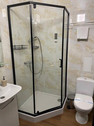 a bathroom with a shower with a toilet and a sink at Space Apart Hotel in Lutsk