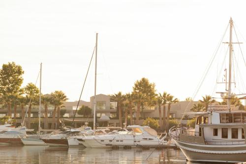 a group of boats docked in a harbor at Porto Sani in Sani Beach