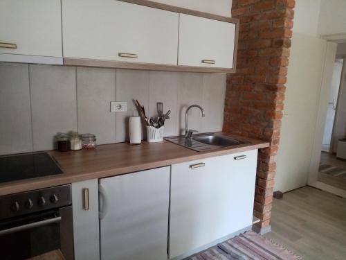 Kuchyň nebo kuchyňský kout v ubytování Apartman Otvoreno polje