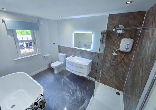 a bathroom with a toilet and a sink and a shower at Ard Veich Estate - Panoramic Highland Sea Views with private beach and woodland in Port Appin
