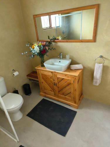 a bathroom with a sink and a toilet and a mirror at Emerald Vale Ale Cottage in Lone Tree