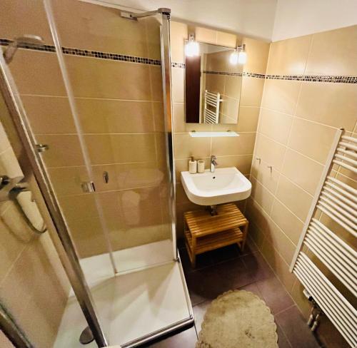 une salle de bain avec douche et lavabo dans l'établissement Süden, à Fehmarn