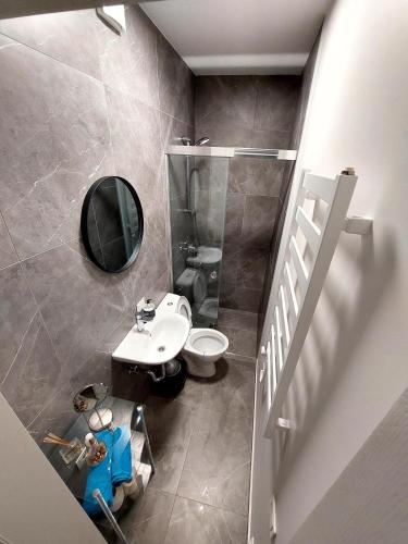 a bathroom with a sink and a toilet and a mirror at Apartamentai in Palanga
