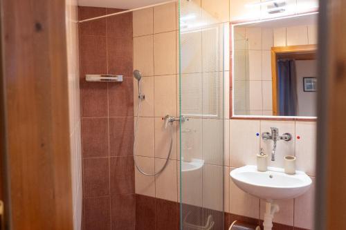 a bathroom with a shower and a sink at Penzion JAS in Zuberec